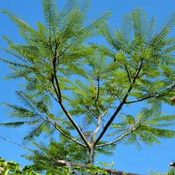 2023-07-22__GeorgeTour