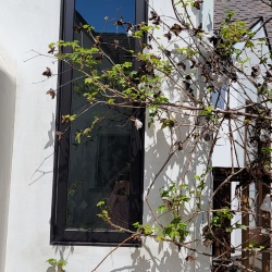 250426-Perkins Garden Tour